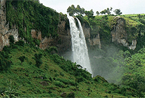 4 Days 3 Nights Mt Elgon Hike Sasa/ Sipi Trail (Begins at Budadiri & ends at Kapkwai Park gate) – Uganda