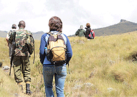 Aberdare Mountain Hiking Day Trip From Nairobi (Mt Satima/ Ol Donyo Lesatima)