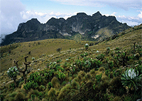 Ol Donyo El Satima (Aberdares Mountain Peak) Day Trip Trek – Kenya