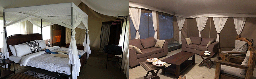 Acacia Migration Camp Serengeti Tanzania