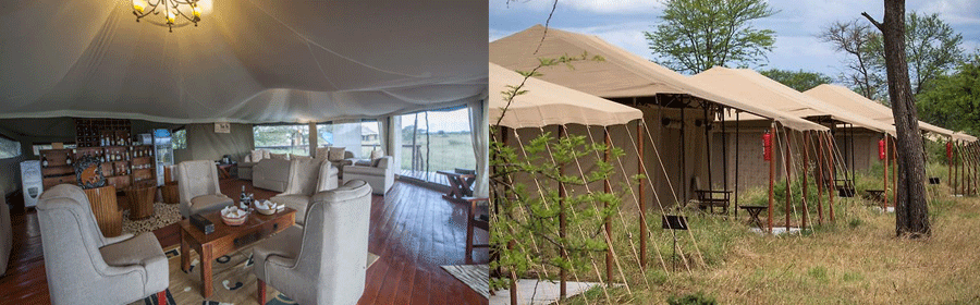 Acacia Central Camp Serengeti Tanzania