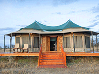Acacia Seronera Luxury Camp, Central Serengeti National Park, Tanzania