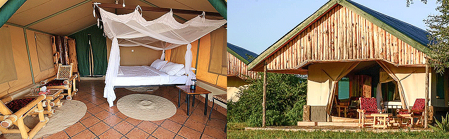 Africa Safari Serengeti Ikoma Lodge Tanzania