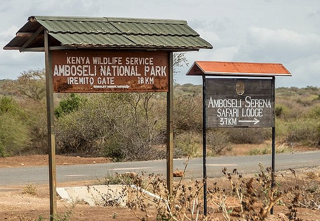 Amboseli National Park Kenya Tanzania Border | Mount Kilimanjaro Safaris