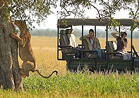 Grumeti Serengeti Tented Camp Family Tent – Serengeti National Park, Tanzania