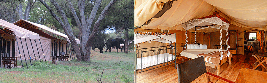 Baobab Tented Camp Tarangire National Park