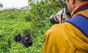 12 Days 11 Nights Kenya Fly-in Safari Bwindi, Masai Mara & Lamu Island Starts from Entebbe Uganda & Ends in Nairobi