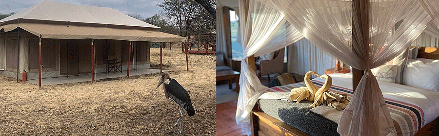 Acacia Central Camp Serengeti Tanzania