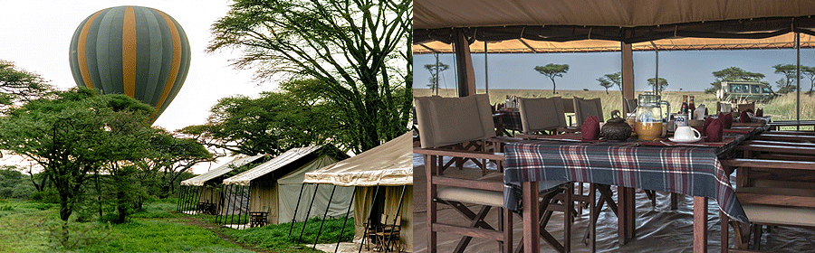 Gnu Ndutu Migration Camp Serengeti Tanzania