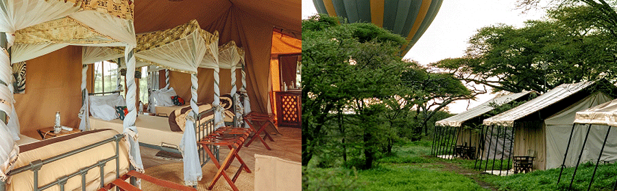 Gnu Mara River Camp Serengeti National Park