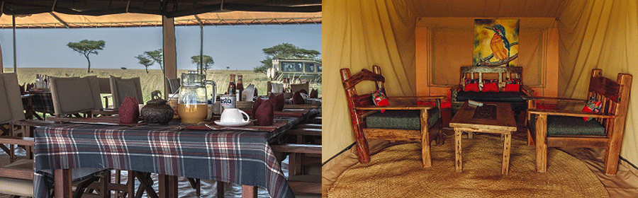 Gnu Mara River Camp Serengeti National Park