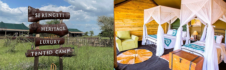 Serengeti Heritage Camp