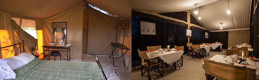 Kati Kati Tented Camp Serengeti Tanzania