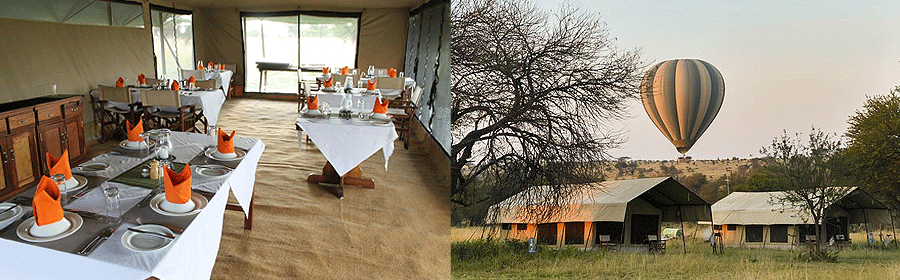 Mara Under Canvas Tented Camp Serengeti Tanzania