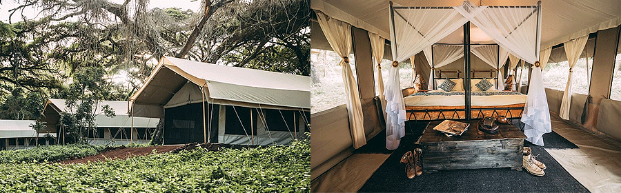 Ngorongoro Tortilis Camp Tanzania