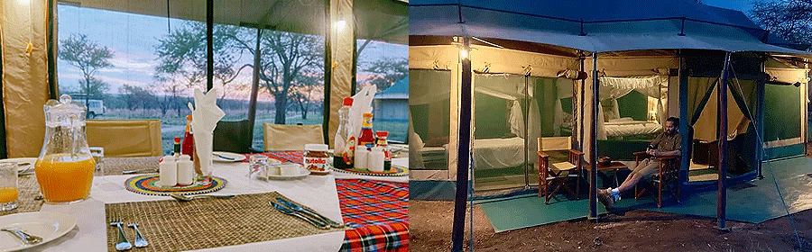 Osero Camp Serengeti National Park Tanzania