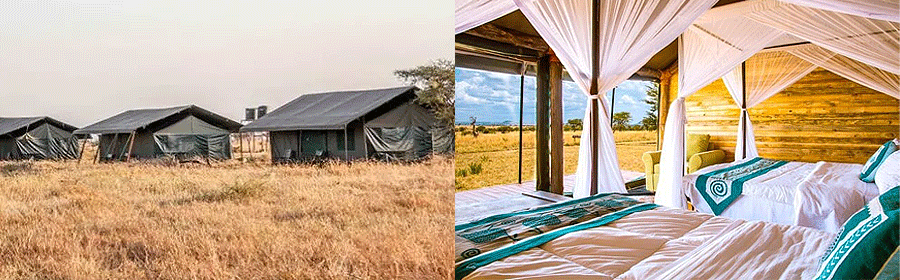 Serengeti Heritage Camp