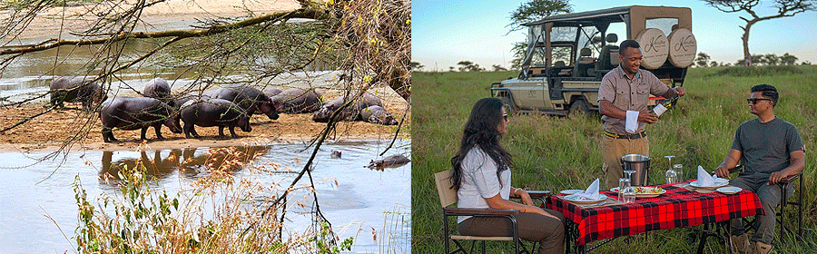 Serengeti Mara River Camp Tanzania