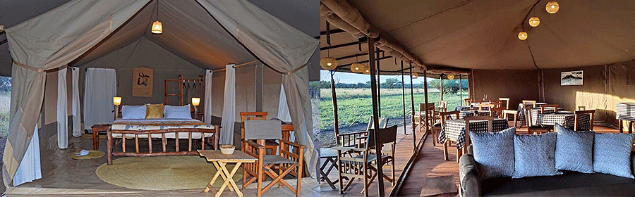 Zawadi Serengeti Camp Tanzania
