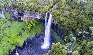 Aberdare National Park 1 Day Trout Fishing Tour from Nairobi – Kenya