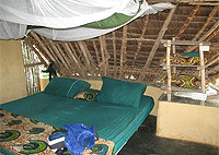 Chumbe Island Coral Park Eco-lodge – Chumbe Island (off Zanzibar Island)