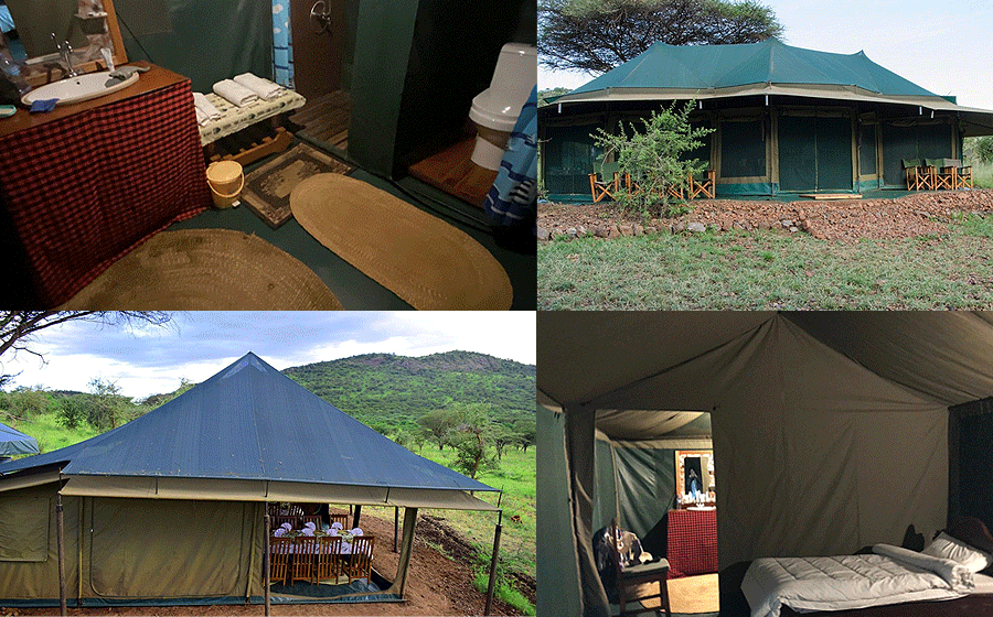 Domel Wilderness Camp Serengeti National Park