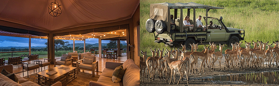 Dunia Camp Serengeti National Park Tanzania