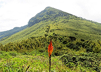 Elephant Hill Aberdares 1 day hiking/ trekking Tour – Nairobi Day Tour