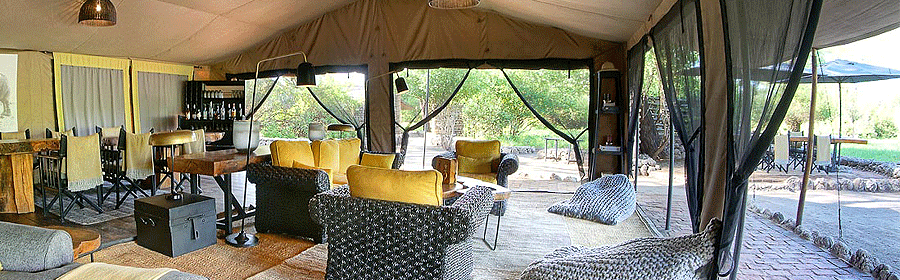 Forest Chem Chem Camp Tarangire