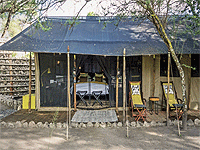 Forest Chem Chem Camp – Tarangire National Park