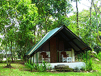 Hairy Lemon Island – River Nile