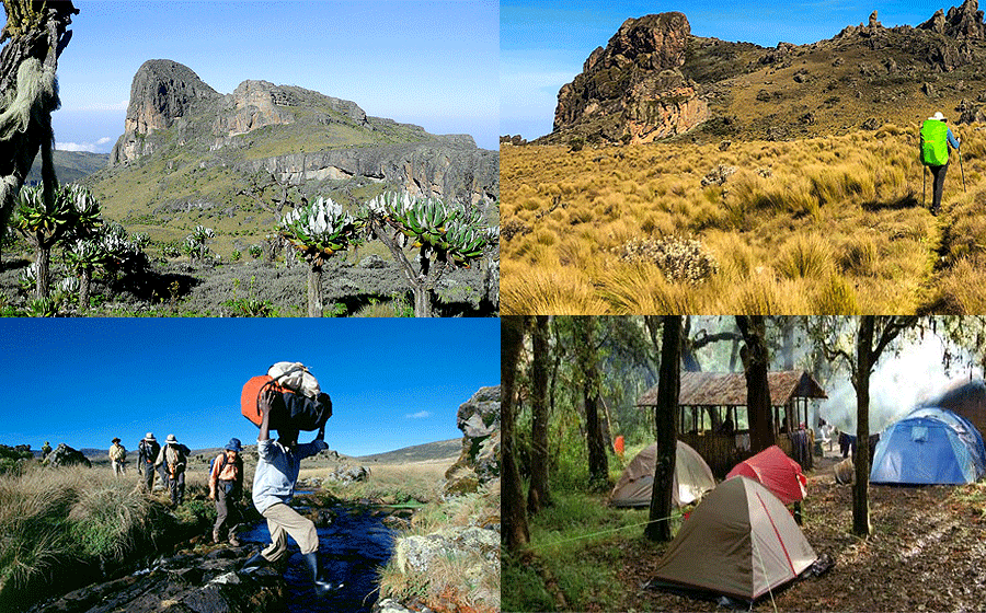 Sasa Trail Mount Elgon, Sasa Trail Mount Elgon National Park