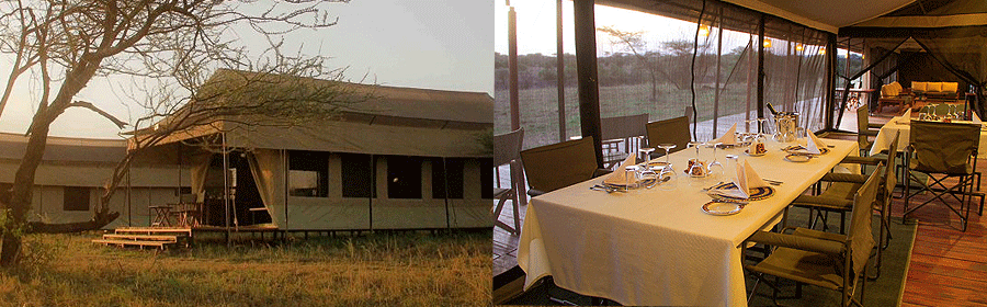 Hippo Trails Camp Serengeti Tanzania