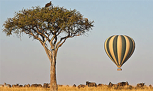 Hot Air Safaris Mara Ballooning Masai Mara National Reserve, Kenya