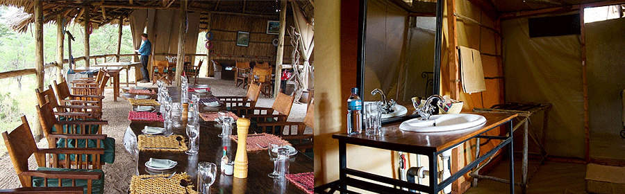 Kambi ya Tembo Kilimanjaro Tanzania