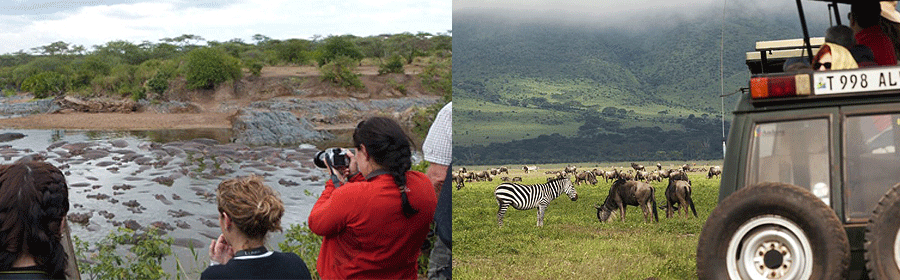 Kananga Special Tented Camp Serengeti