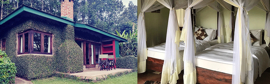 Endoro Lodge Karatu Ngorongoro Tanzania