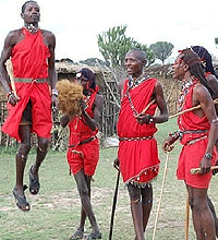 Kenya Budget Safaris