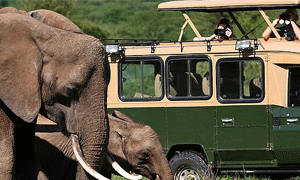 Kenya Road & Air Combined Safaris
