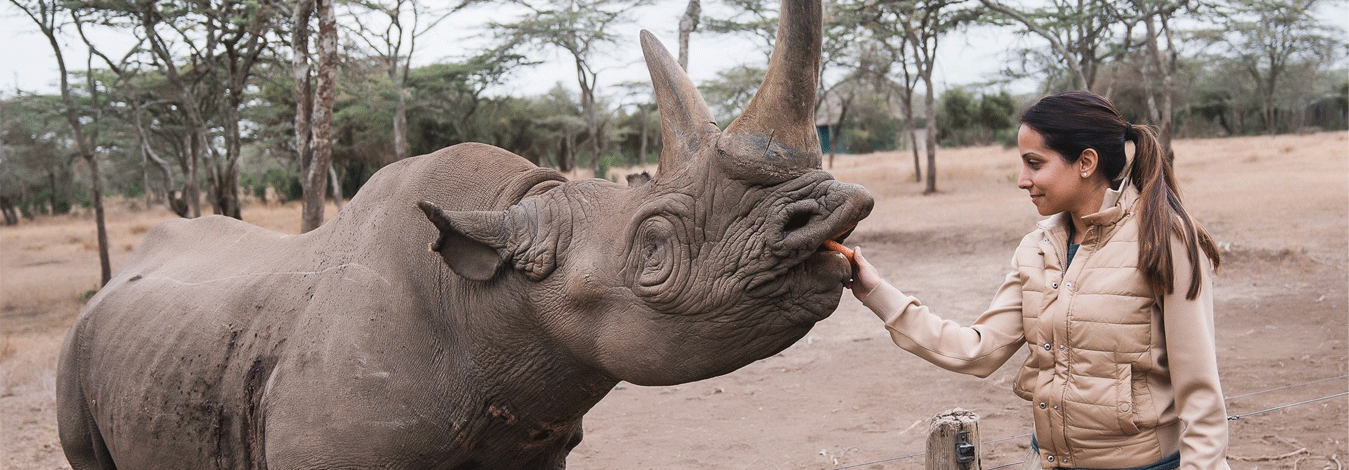 African Luxury Safaris