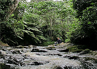 Kereita Forest Caves Waterfalls Nairobi Day Hiking Tour – Kenya