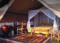 Kikoti Tented Camp, Community Conservancy – Tarangire National Park