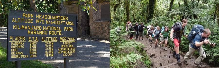 Mt Kilimanjaro Trek - Marangu Route Tanzania