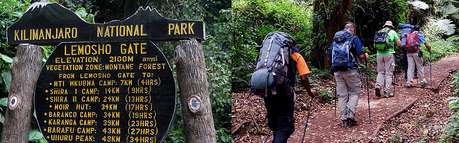 Lemosho route