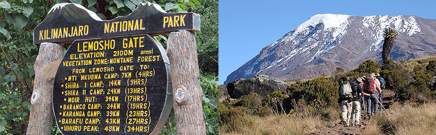 Kilimanjaro Shira Route