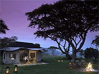 Kirurumu Ngorongoro Pakulala Camp – Ngorongoro Crater