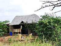 Lake Manyara Bush Camp – Lake Manyara National Park