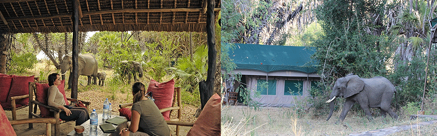 Lake Manze Camp Nyerere National Park Tanzania