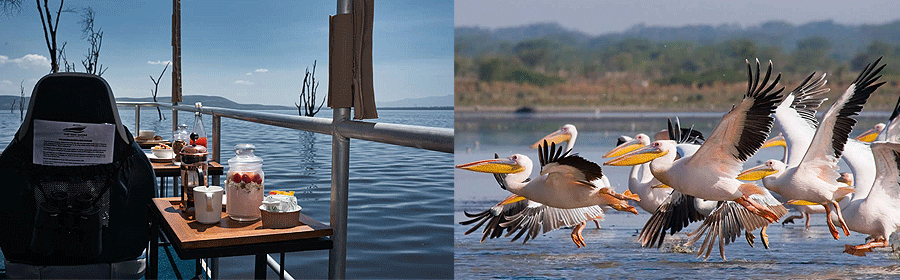 Boat Safaris Lake Nakuru National Park