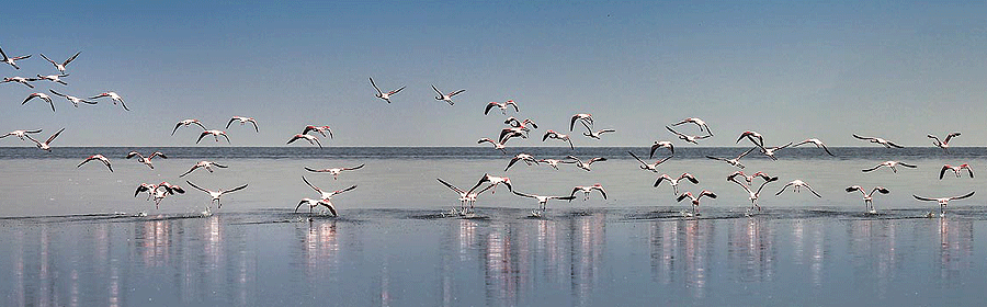 Lake Natron Camps & Lodges Tanzania